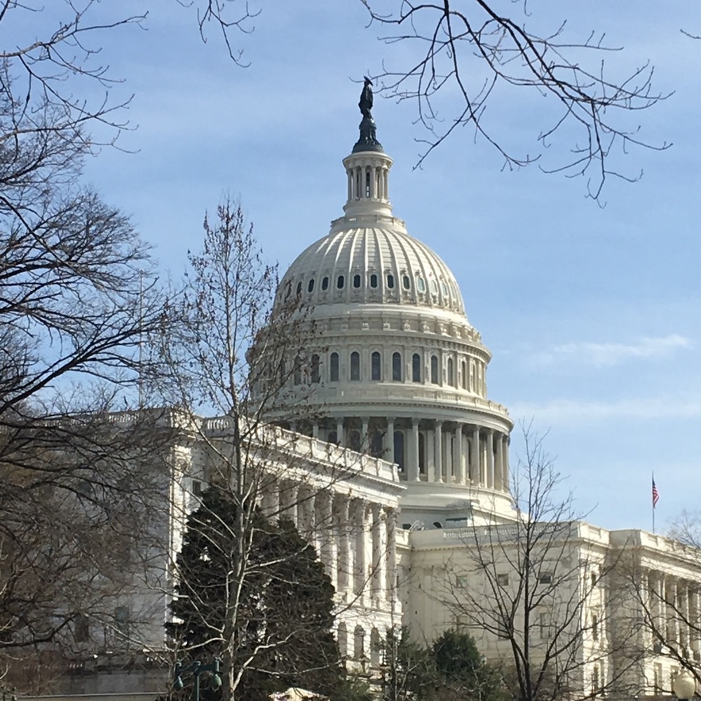 Meet your Posher, Larry